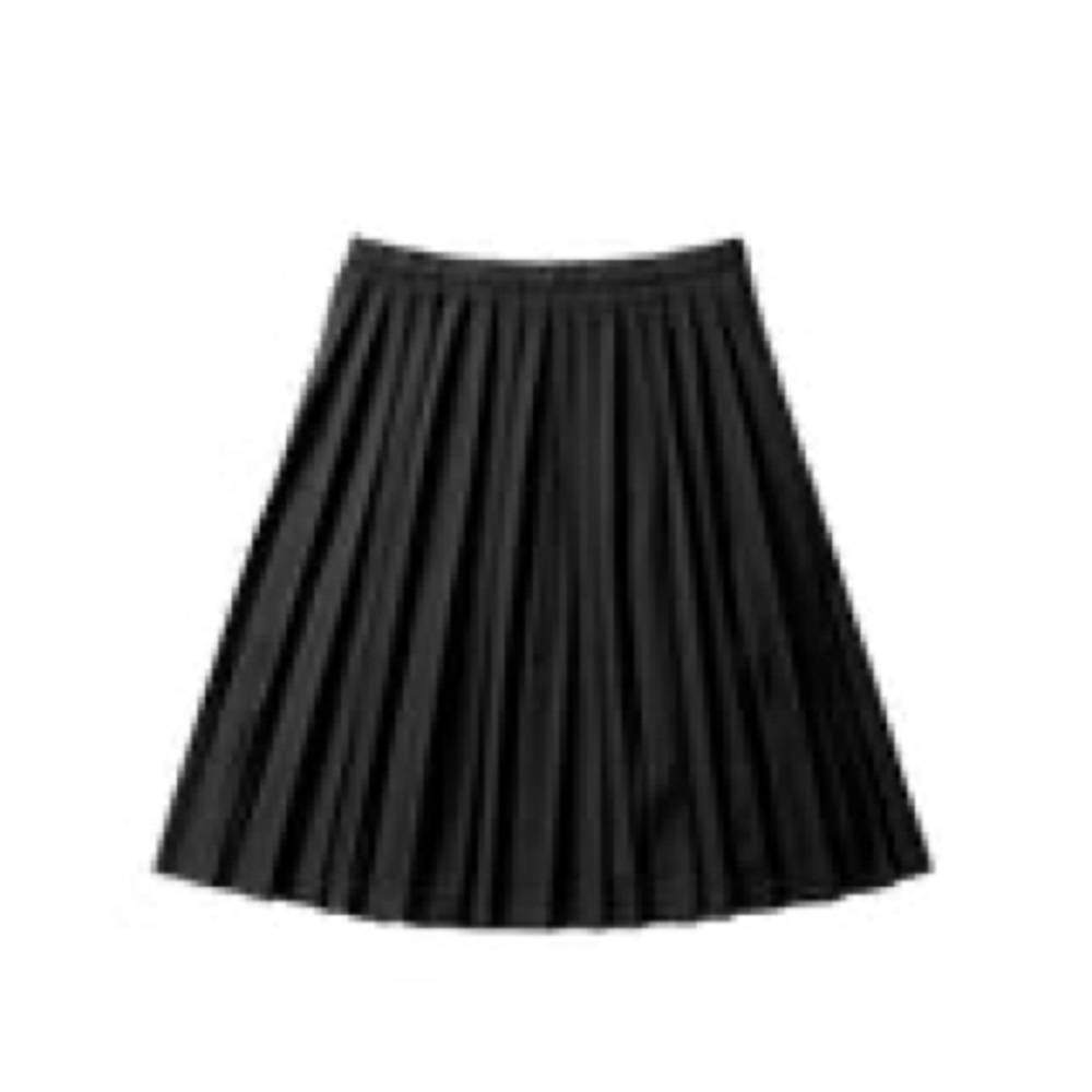 PETIT CLAIR 18 1Timeless Elegant Signature Black A-Line Skirt Pleated 28” waist